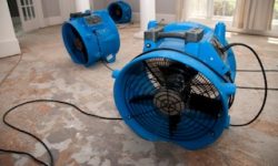 carpet drying fan hire adelaide