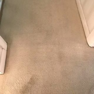cream carpet after being cleaned