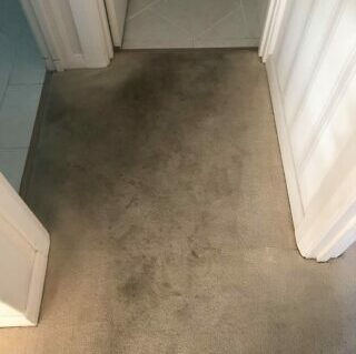 cream carpet before being cleaned
