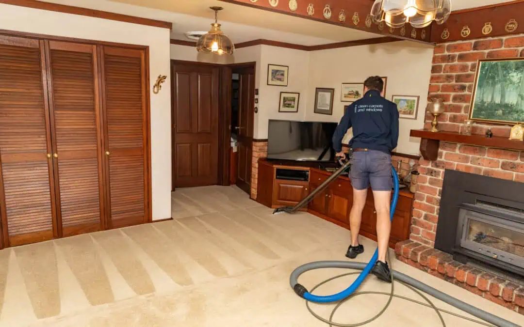 Is It A Good Idea To Get Carpets Professionally Cleaned?