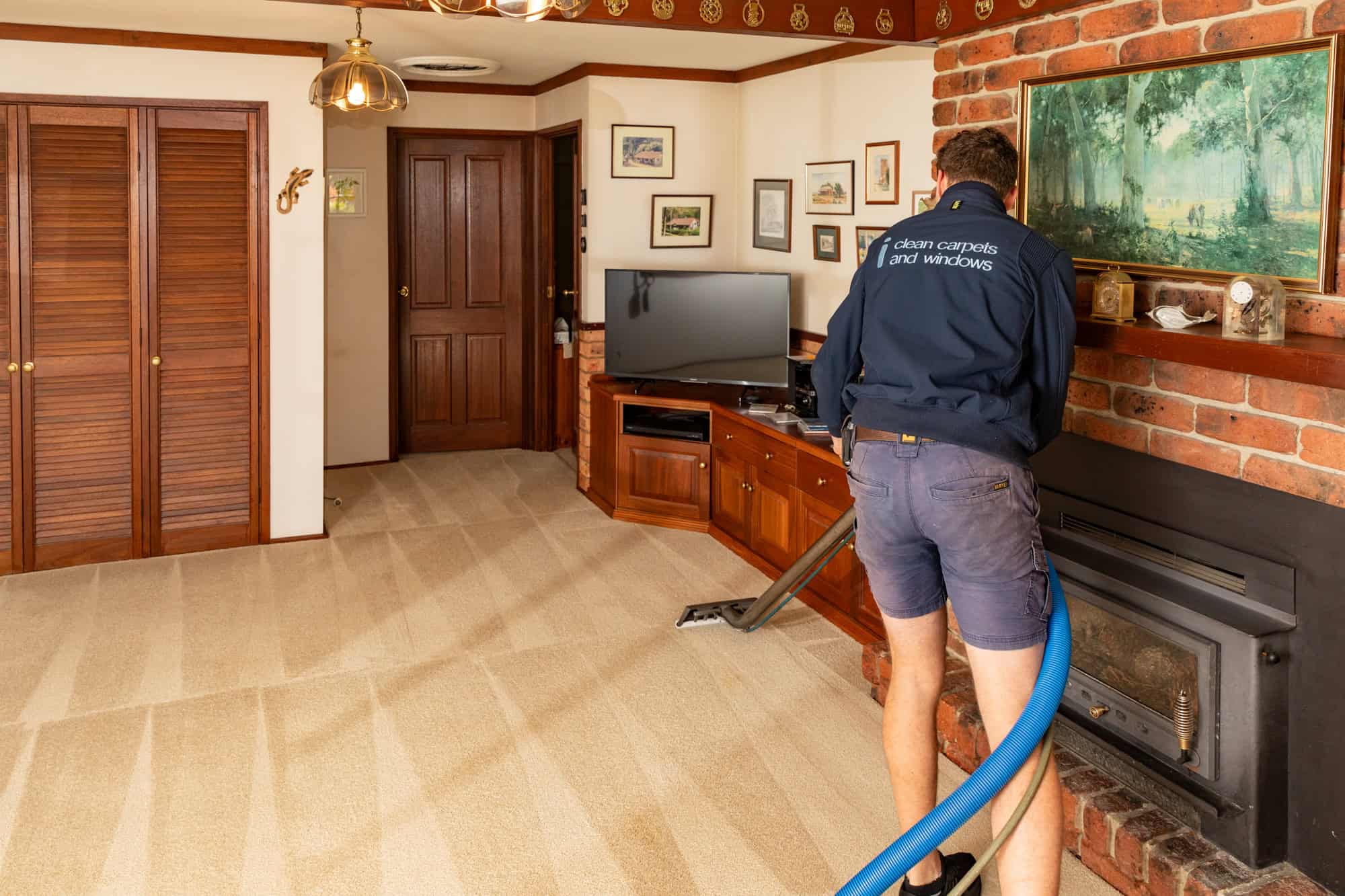 carpet cleaning lounge room burnside