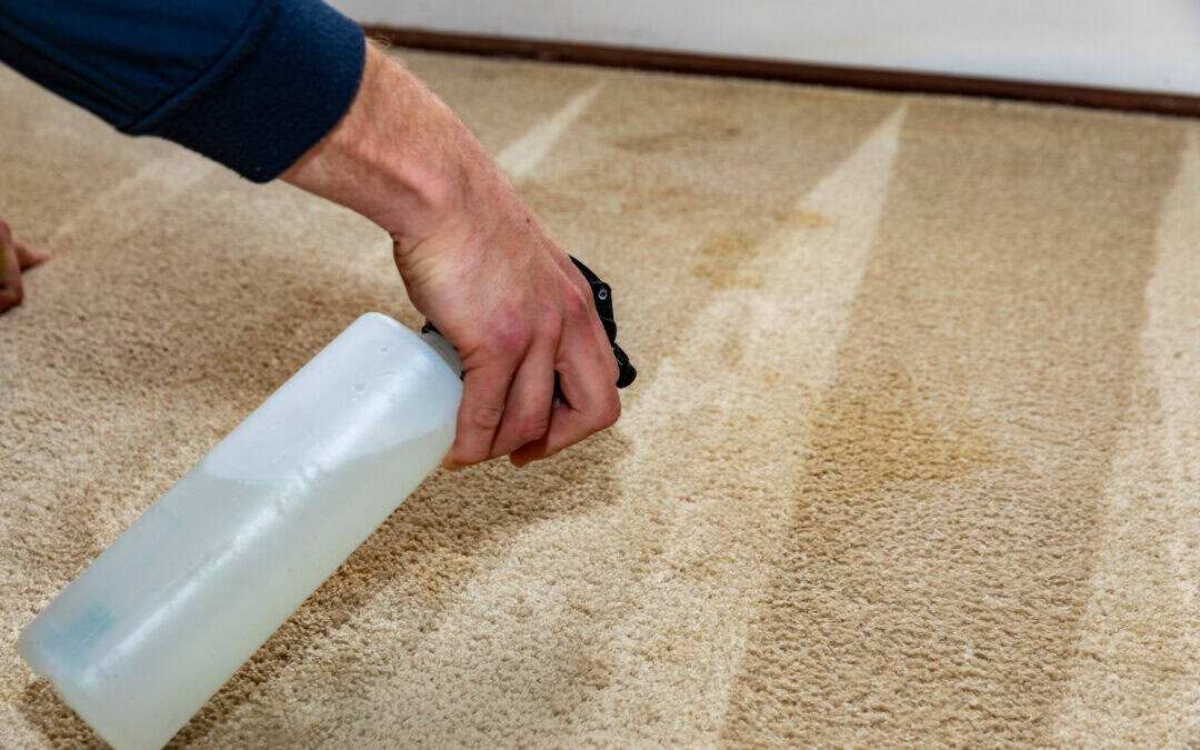 Three Easy Carpet Cleaning And Care Tips