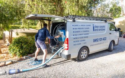 Carpet Cleaning – Adelaide Locals’ Quick Overview of Biological Pollutants Found in Carpets