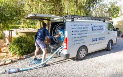 Carpet Cleaning – Adelaide Locals’ Quick Overview of Biological Pollutants Found in Carpets
