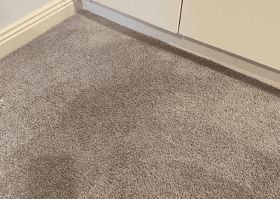 40 year old port vs carpet, after cleaning