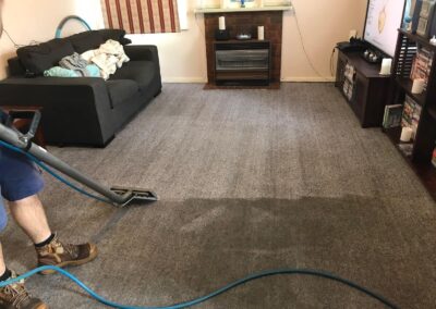 Carpet cleaning eastern suburbs