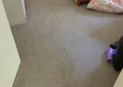 Carpet cleaning poo after, no stains