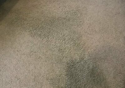 after carpet cleaning with red spill