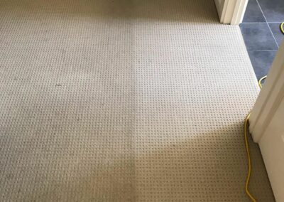 carpet cleaning in progress before and after