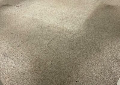 carpets before being cleaned