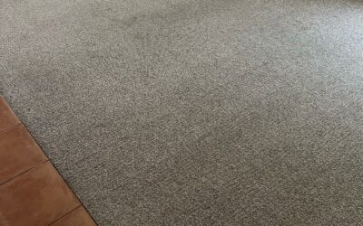 Tips On Lengthening A Carpet’s Life In between Professional Carpet Cleanings