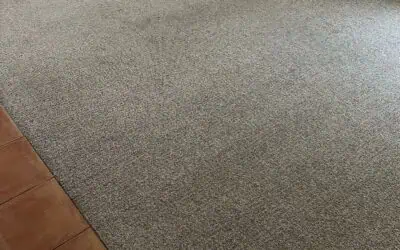 Tips On Lengthening A Carpet’s Life In between Professional Carpet Cleanings