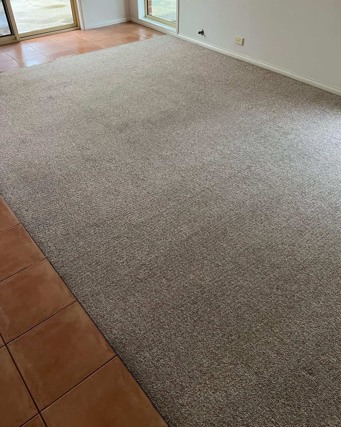 carpets after being cleaned