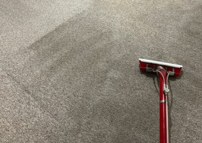 carpets cleaning in progress