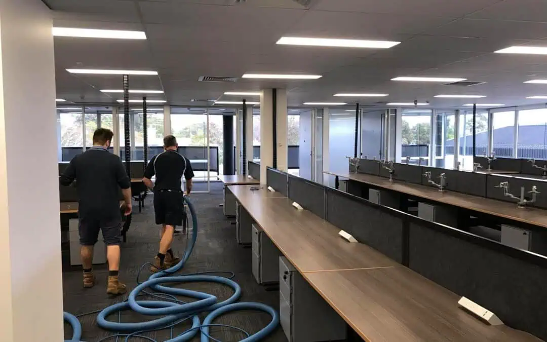 Promote Business Success With Adelaide Carpet Cleaning