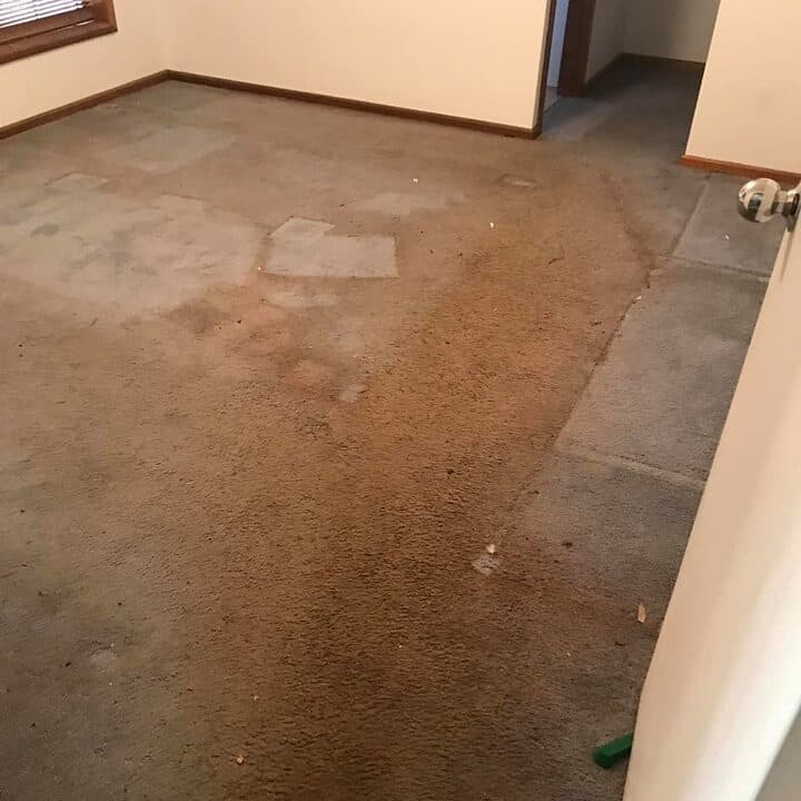 flood affected carpets, dirty and wet, in need of removal and drying