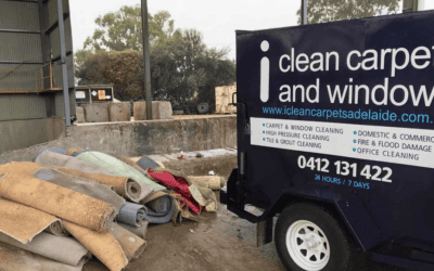 Adelaide Professional Cleaners Share Their Effective Treatment Process for Flooded Carpets