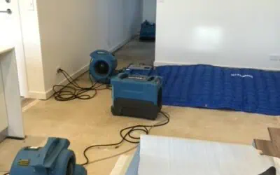 What To Do When Your Carpet Gets Flooded